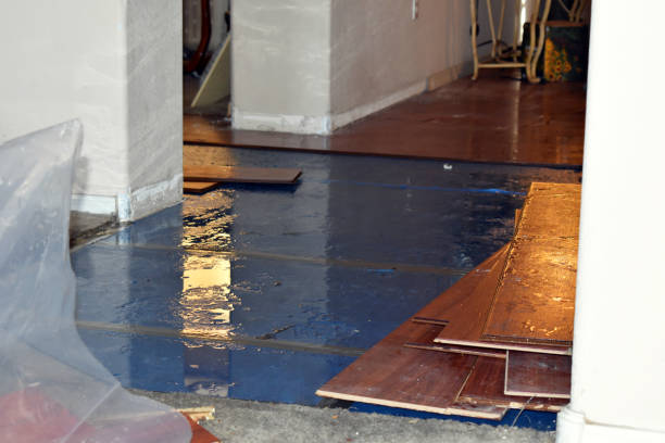 Professional Water Damage Restoration technician working in Kew Gardens, NY